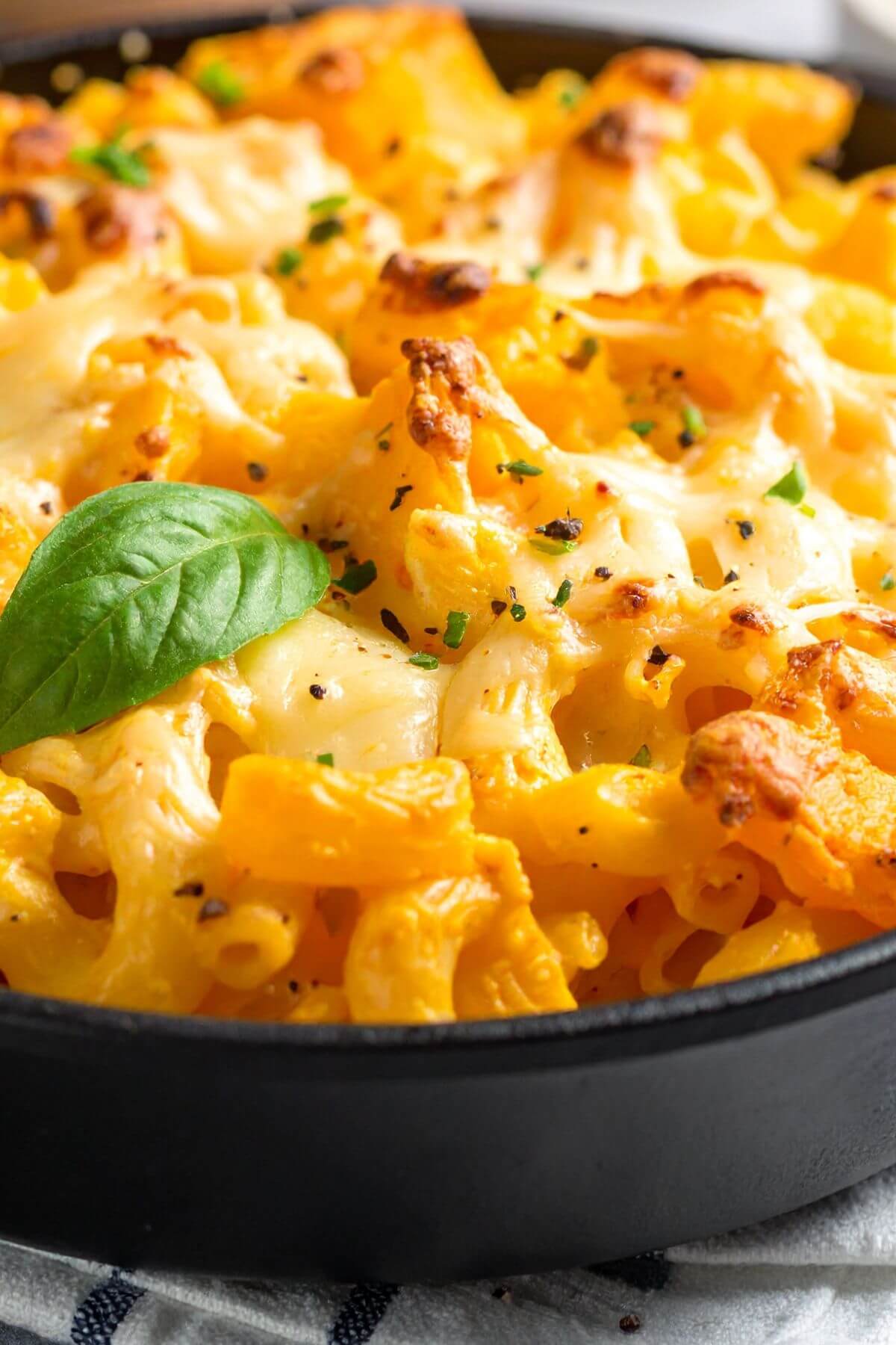Dish of Vegan Butternut Mac and Cheese