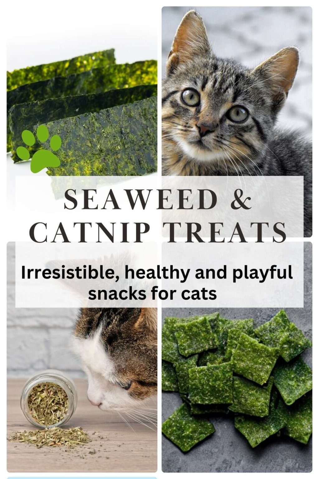 Picture of Seaweed & Catnip Treats (for Cats) - Vegan Focus
