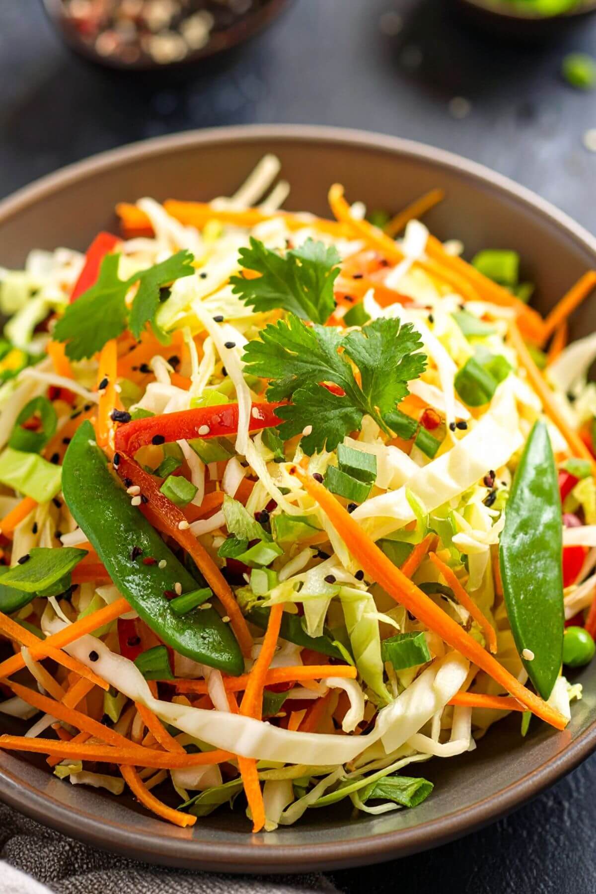 Bowl of Vegan Asian Coleslaw