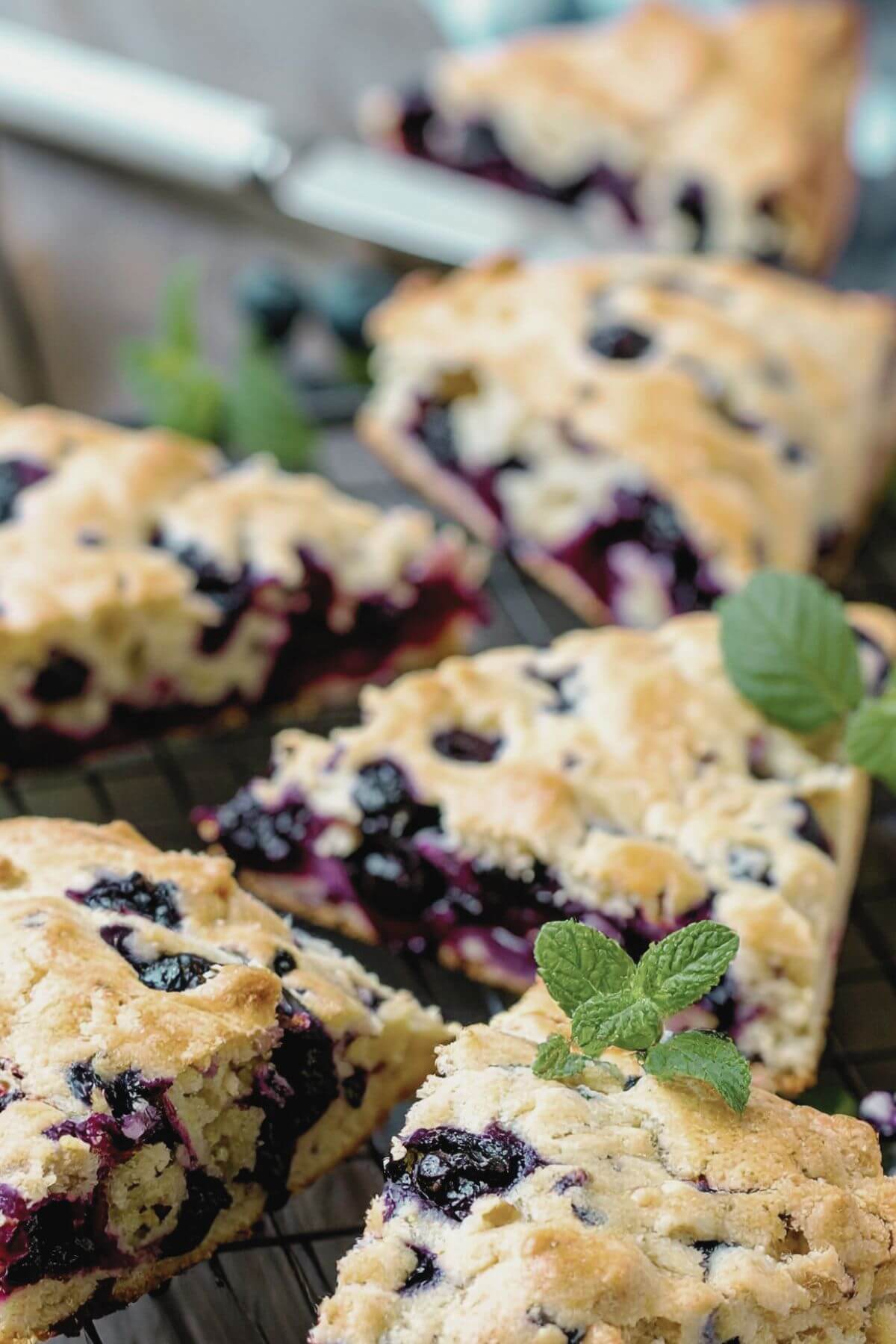 Vegan Blueberry Scones and Mint