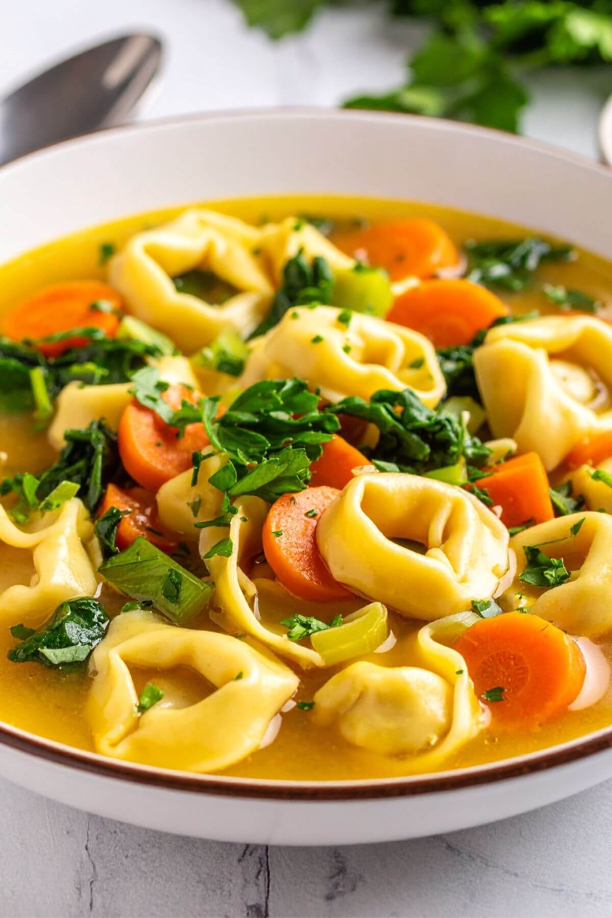 A bowl of Lemon Tortellini Soup with sliced carrots, celery and s;inach