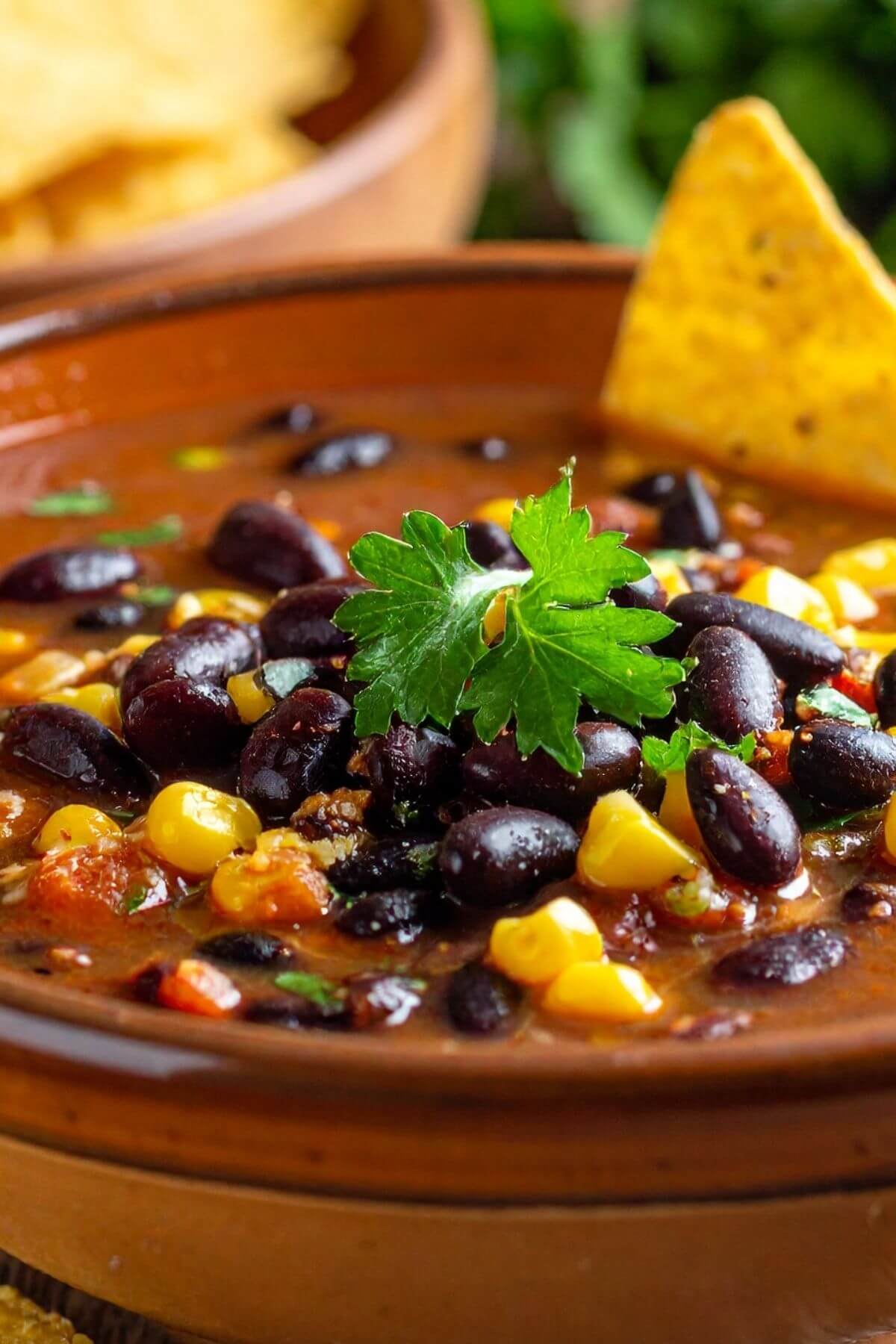 Bowl of Vegan Black Bean Tortilla Soup garnished with tortilla chips and parsley